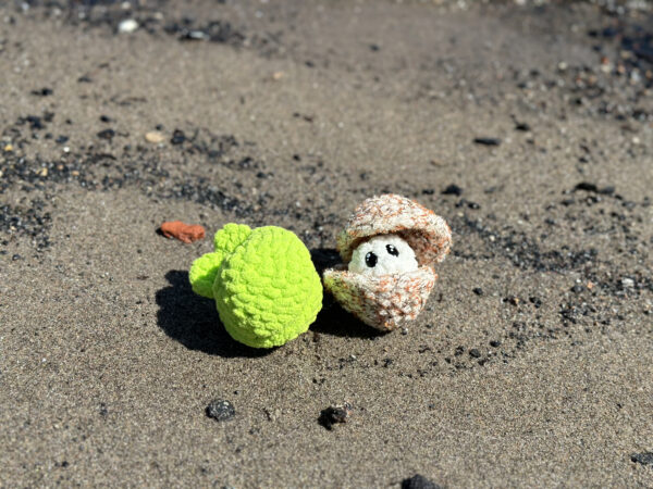 Cam the Fidgety Clam - Adorable Fidget Pattern - Image 3